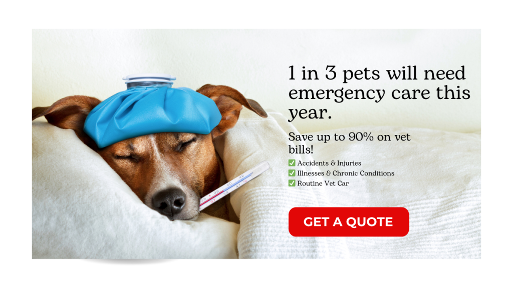 1 in 3 pets will need emergency care this year.