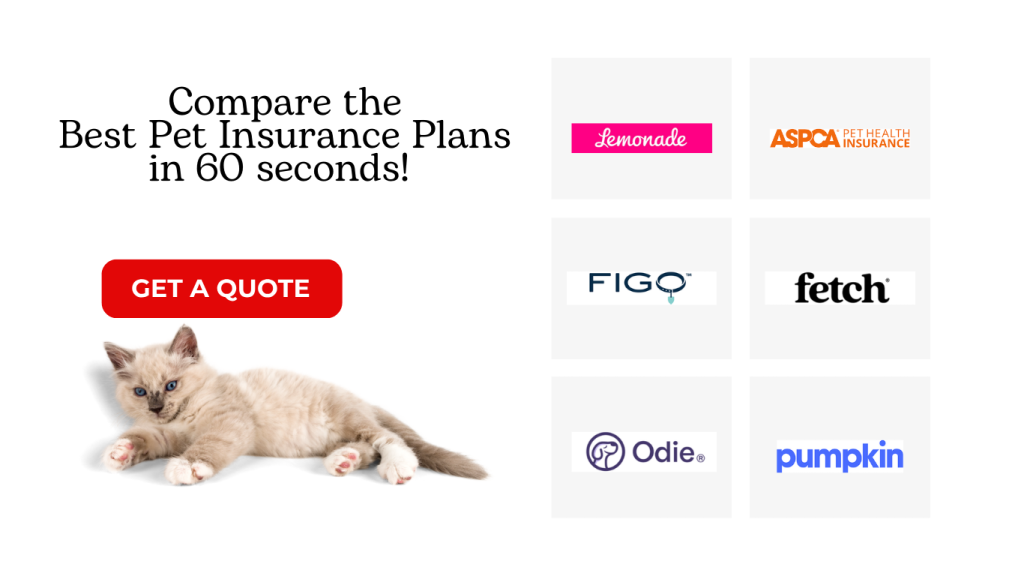 Compare the Best Pet Insurance Plans in 60 seconds!